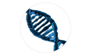 Patologia Molecular
